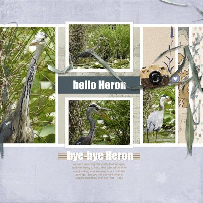 260616_heron.jpg