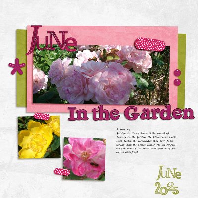 June in the Garden