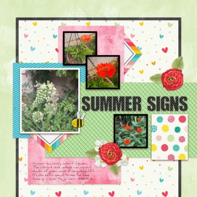 SummerSigns