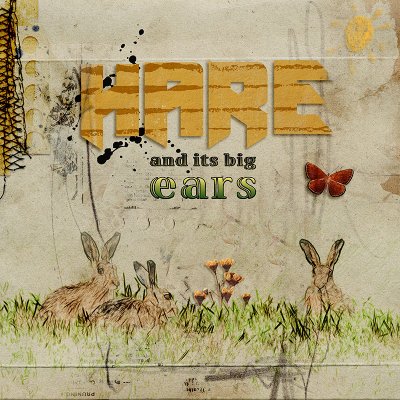 Hare