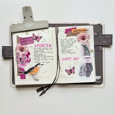 Hobonichi (hybrid)
