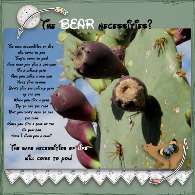 Photography The BEAR Necessities of Life.jpg