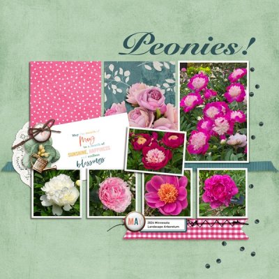 Peonies.jpg
