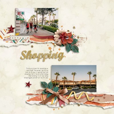 Shopping