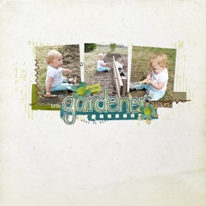 Little Gardener