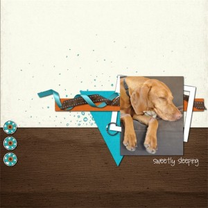 sweetly sleeping
