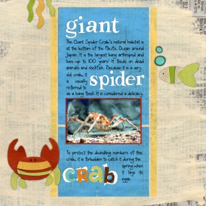 Giant Spider Crab