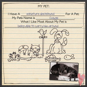My Pet