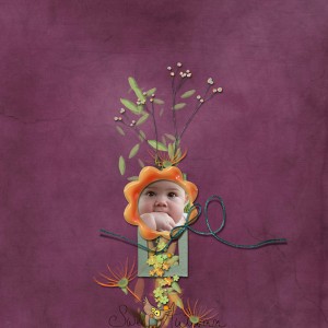 Sweet Autumn
