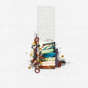 hp nerd