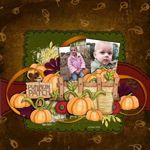 Pumpkin Patch 2009