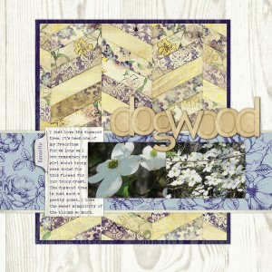 Dogwood
