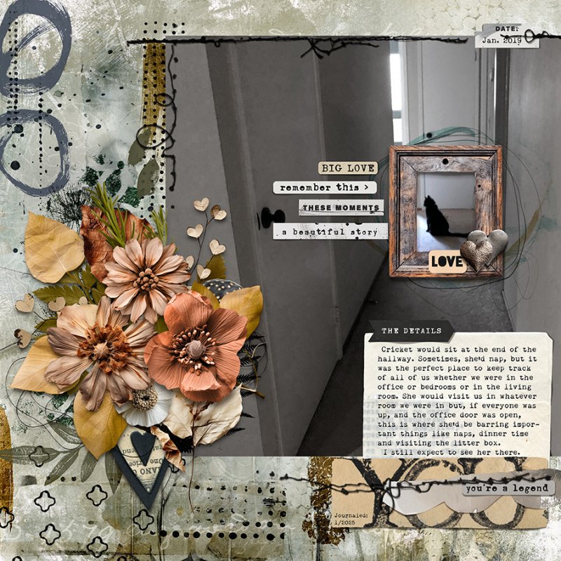 012025_TMM-5Overlooked