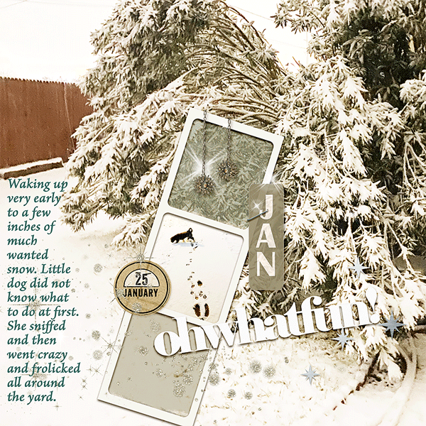 01252026-snowday-copy.gif