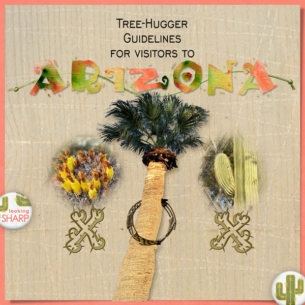 02_X-and-O_Arizona Tree-Huggers Guide