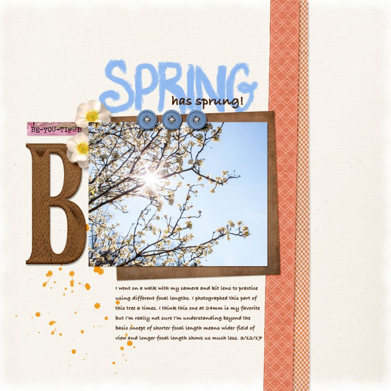 03-12speedscrap - spring has sprung