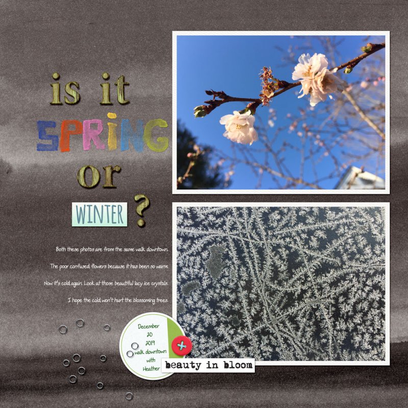 03speed-springwinter
