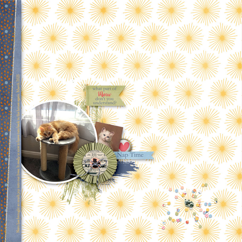 04-02_SD_PurrrfectFriends_SOSN_Nero
