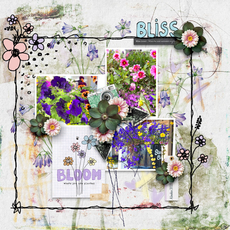 05-03_iNSD_BotanicalBlissCollab_LBW_L-M_Bliss