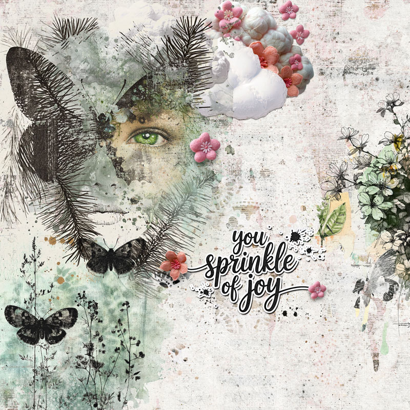 05-03_iNSD_NBK_FAS112_117_118_119_Candyland