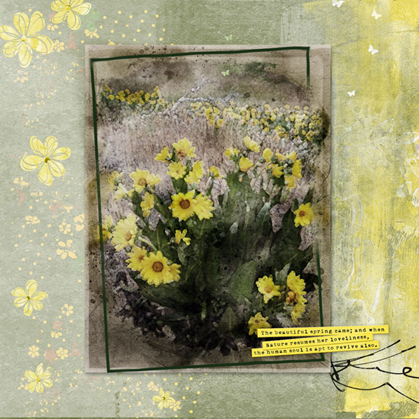 05-13-19_StackedFrames_FieldOfDaisies_Watercolor