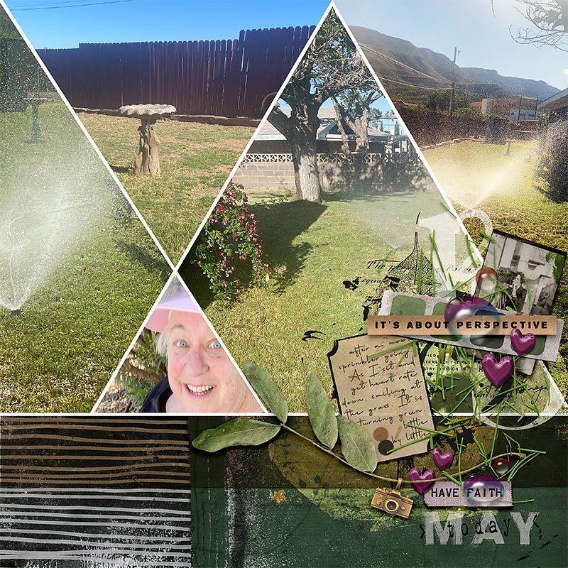 0506-mowed-lawn-copy.jpg