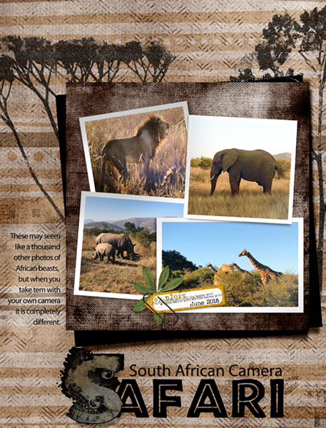 06-18_Safari