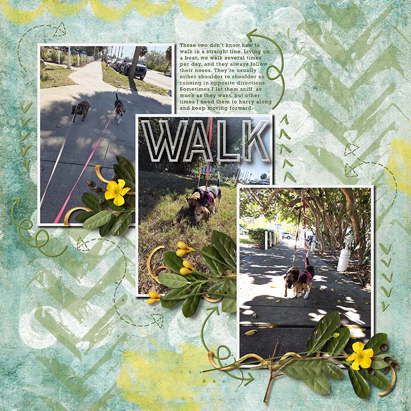 06 Chevrons or Arrows Walk.jpg