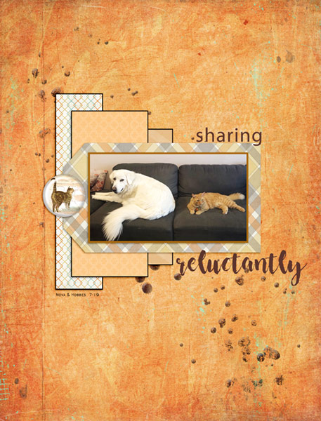 07-06-19_Sharing