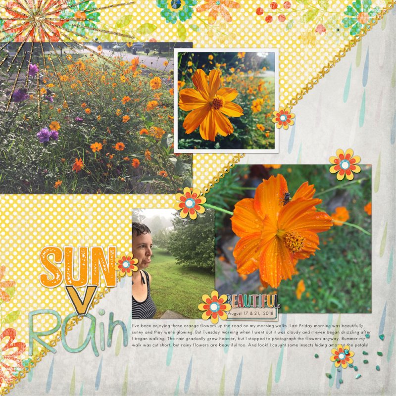 08ss-deconstruct-sun-v-rain-walkWEB