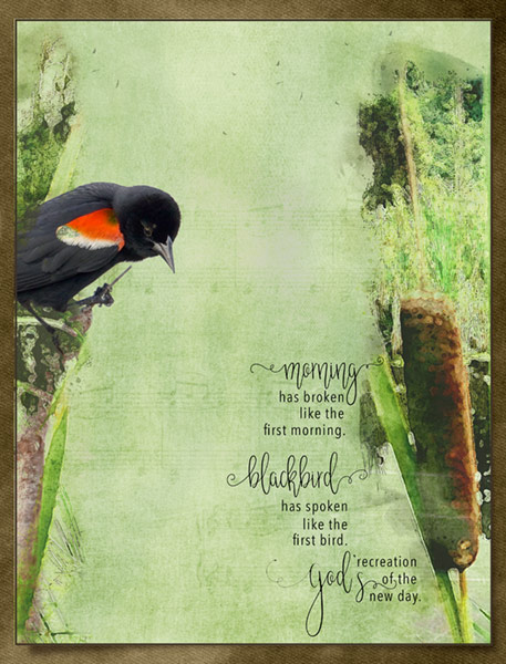 09-19_Vertical-Limit_Blackbird