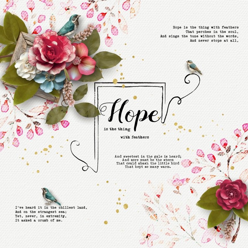 09. Hope - MOC13_January09