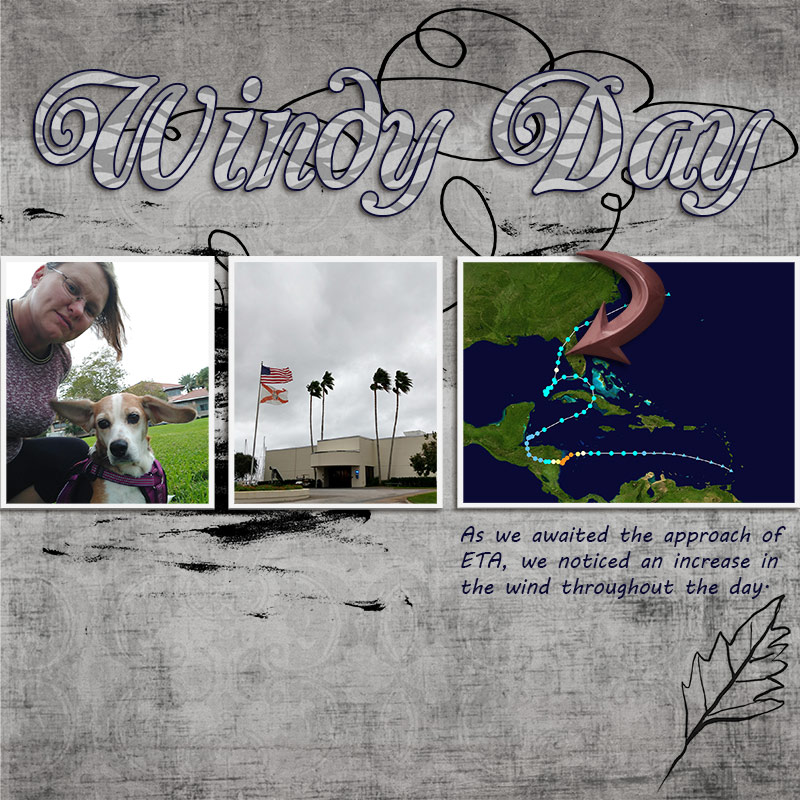 1-26-21 Large Title - Windy Day