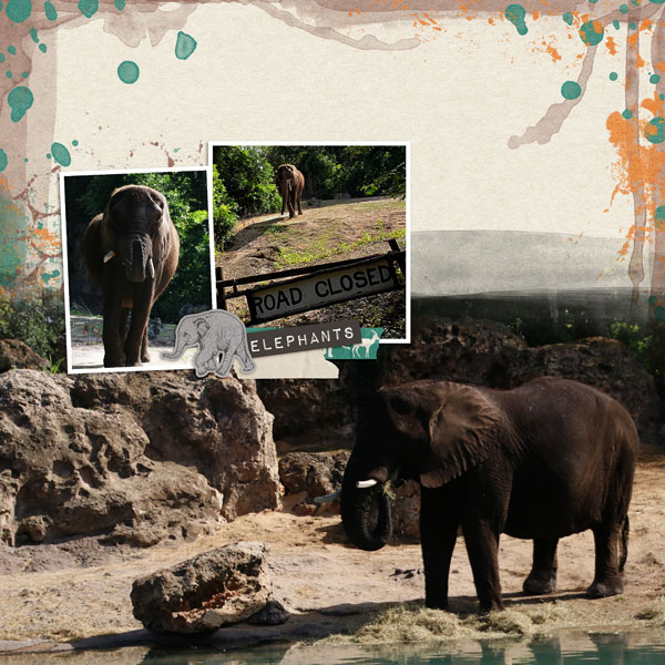 1.38 - Kilimanjaro Safaris