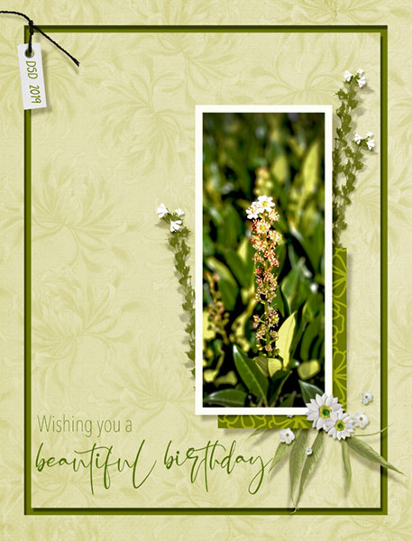 10-07-19_ChristaHost_Flower
