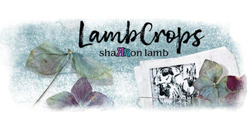 10-19-Lambcrops-Turq-Purp