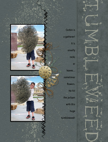 10-7-18_Tumbleweed