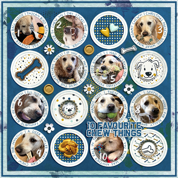 "10 Favourite Chew Things"