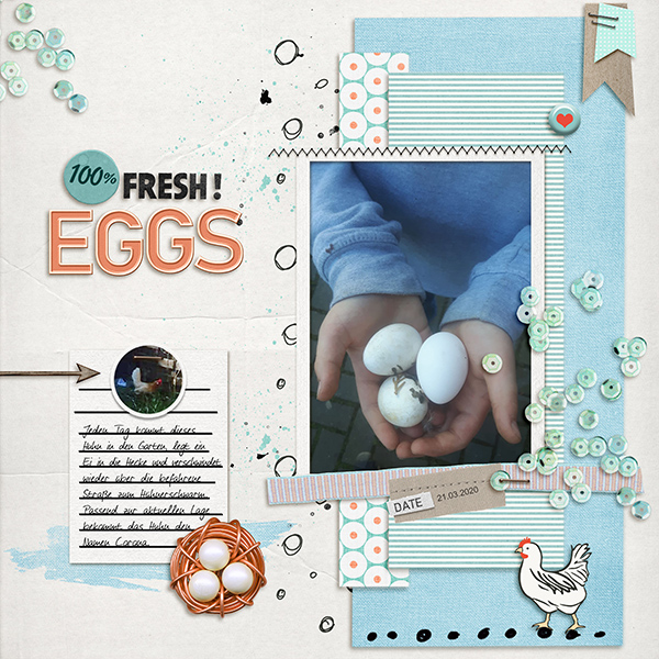 100% Fresh Eggs