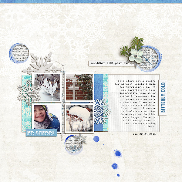100 Year Storm - Jan 27