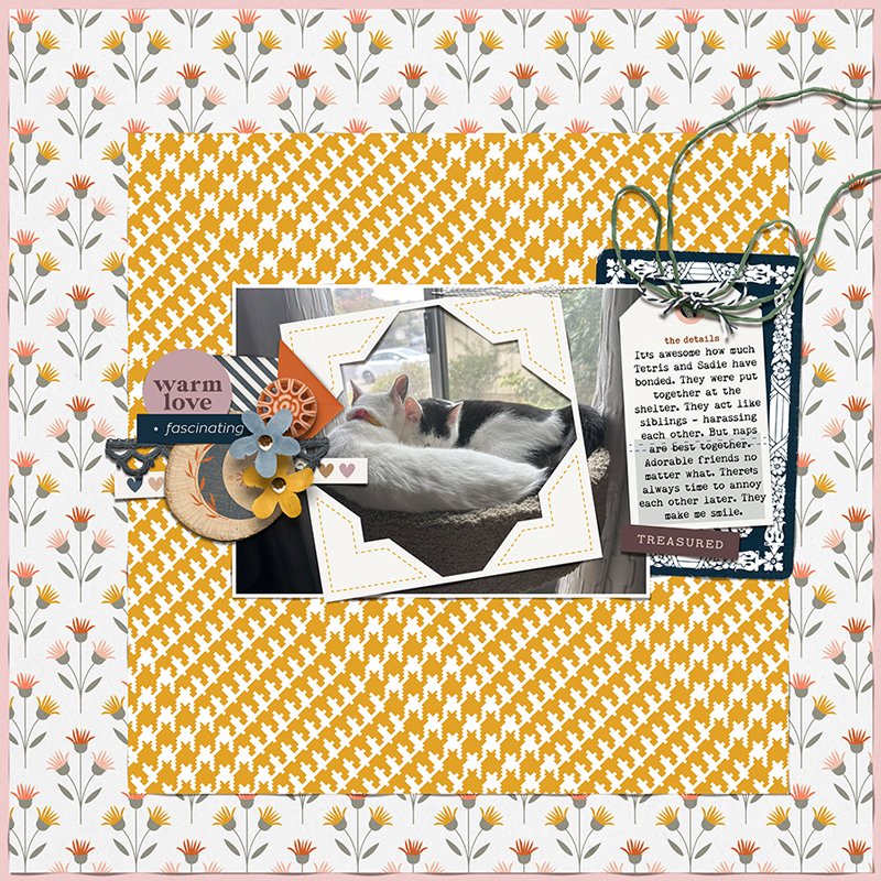 102024JC-Relationship