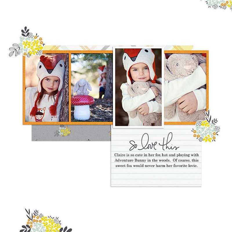 11.06.2013-Fox-and-bunny