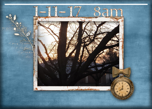 11.1-11-1-8-am