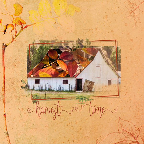 11-11-19_ReplaceShapeWImage_Barn