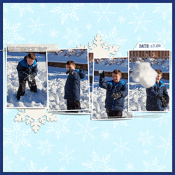 11.17.2015-snowball