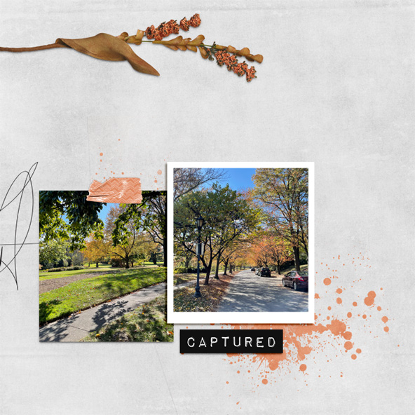 11-inspiration