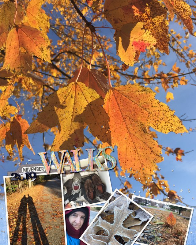 11novemberwalks