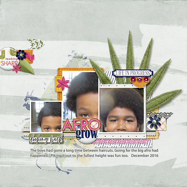 12032106-afros-copy