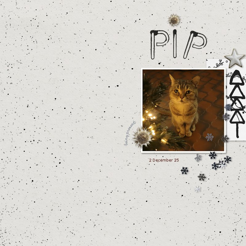13MOC_01_Pip sit.jpg