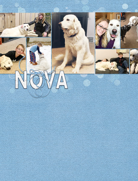 14-Clean-Simple-Texture_NovaCollage